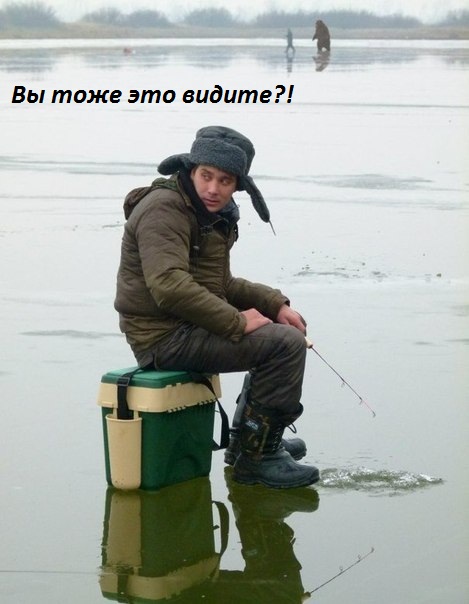 Картинки с надписями Вы тоже это видите?!