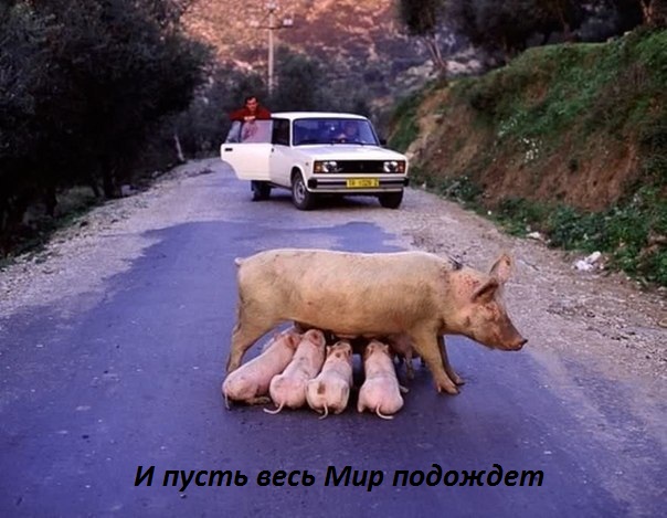   :     