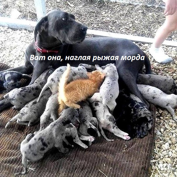   :   