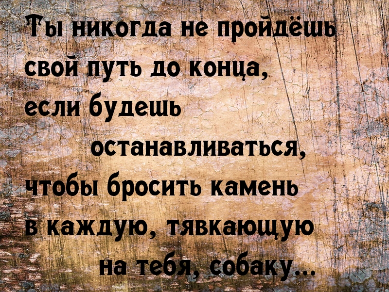 Не обращай внимание на мысли. Каждый выбирает свою дорогу. Каждый выбирает свой путь цитаты. Пройти свой путь цитаты. Не обращать внимание цитаты.