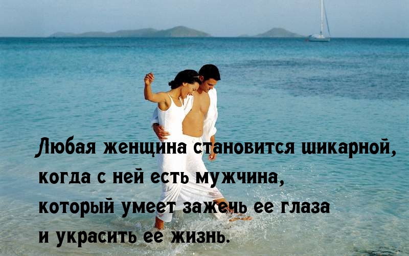 Мужчина Как Кот Цитаты