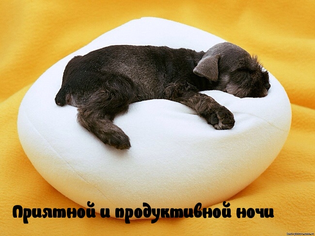 Приятной и продуктивной ночи.