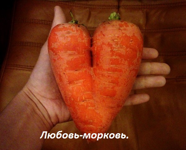 Картинки с надписями Любовь-морковь