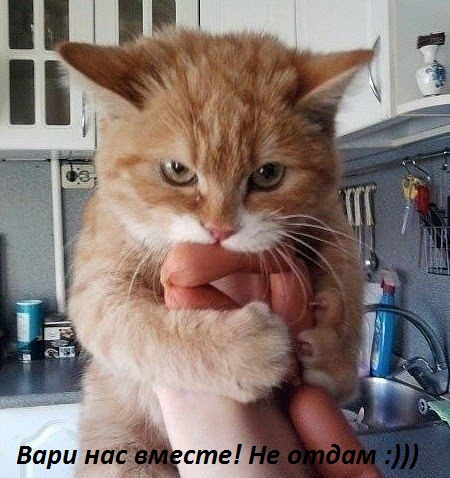 Картинка с надписью: Вари нас вместе! Не отдам :)))
