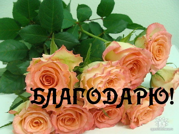   : !