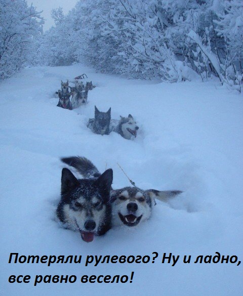   !.