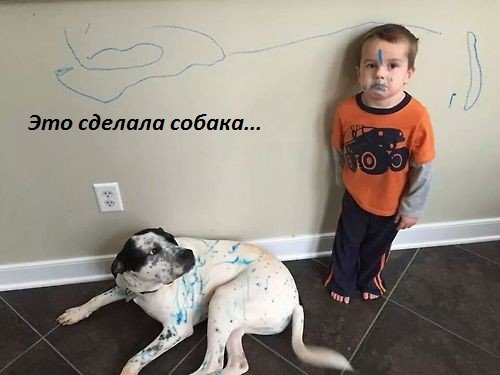   :   ...
