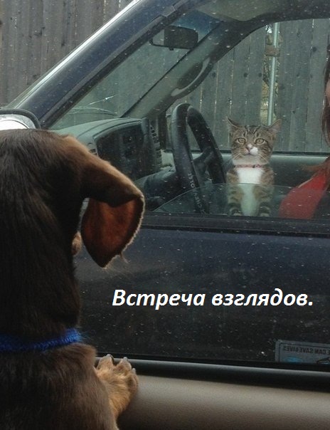  ..