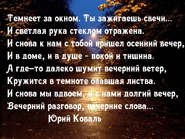   :   