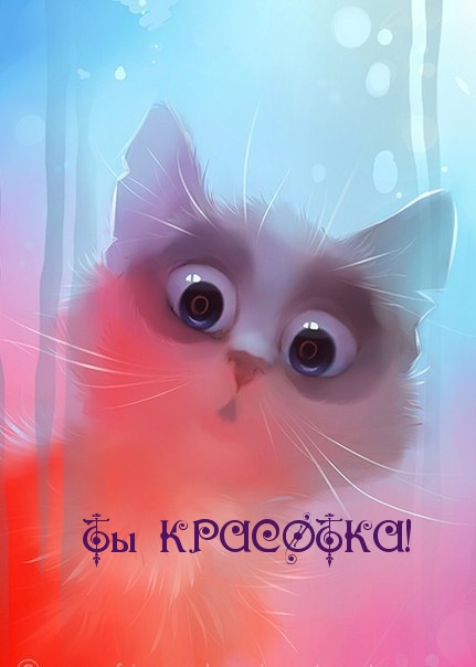   :  !
