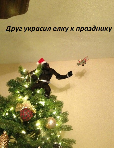   :    