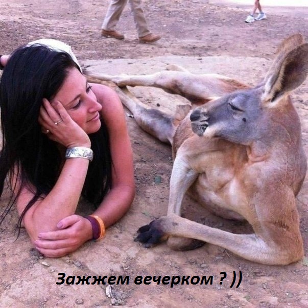 Картинки с надписями Зажжем вечерком ?