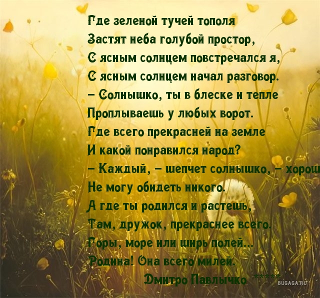 До слез про деревню. Стихи про деревню. Красивые стихи о родном поселке. Стих про деревню родную до слез. Красивые стихи о родной деревне.