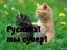 !  !.