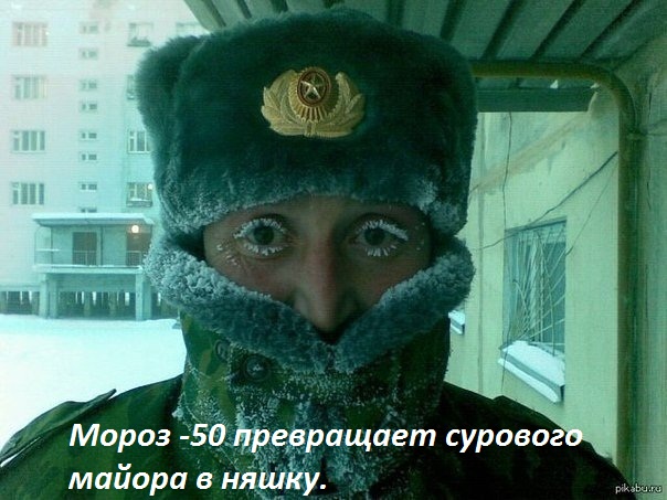 Няшка-майор.