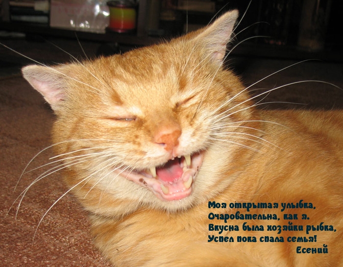    !.