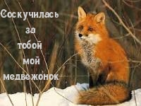   : ...