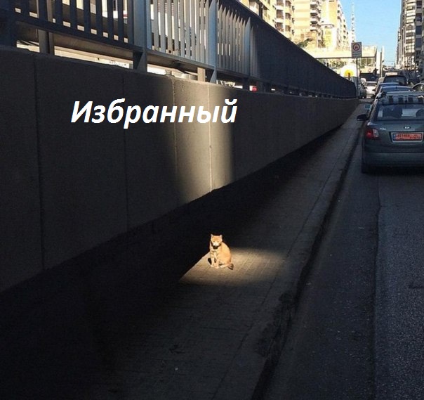 Картинки с надписями Избранный