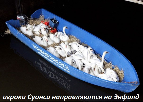 Картинки с надписями Игроки фк Суонси