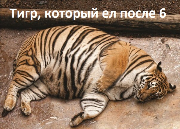 ,    18-00.