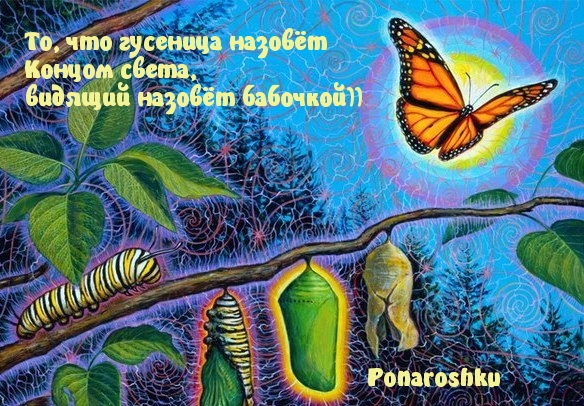 Смотри дальше, будь мудрее.