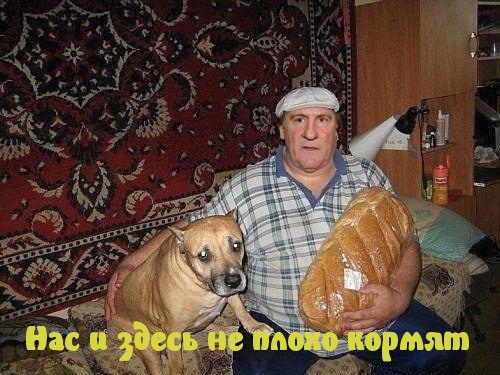 Картинки с надписями Нас и здесь не плохо кормят