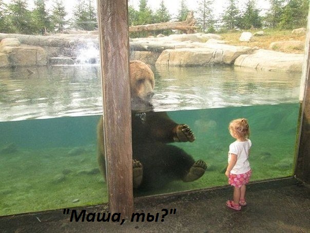 Картинки с надписями Маша, ты ли это?