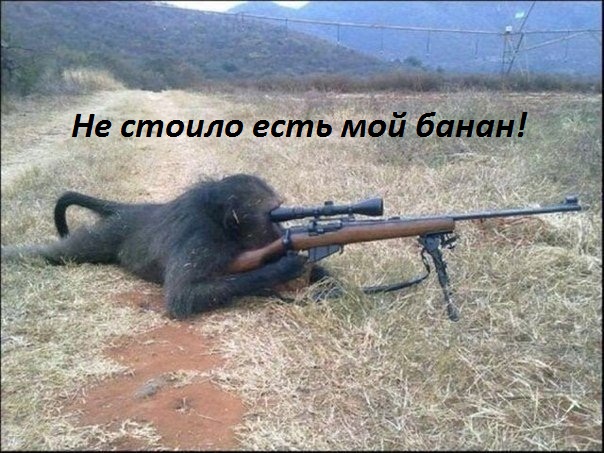 Картинки с надписями Не стоило есть мой банан!