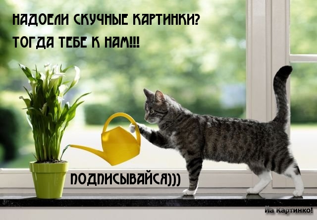 надоели скучные картинки?.