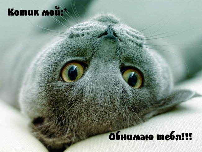   :  !!!