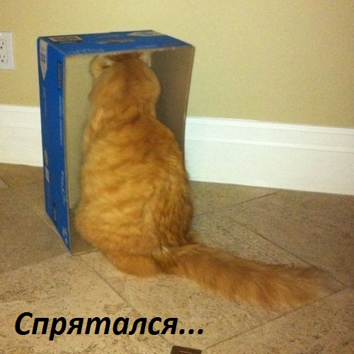 ..