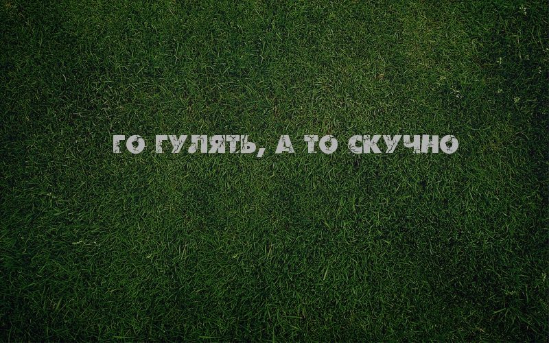 Хочешь пойти гулять. Го гулять. Го гулять картинка. Надпись го гулять. Фото с надписью го гулять.