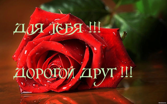  :  !