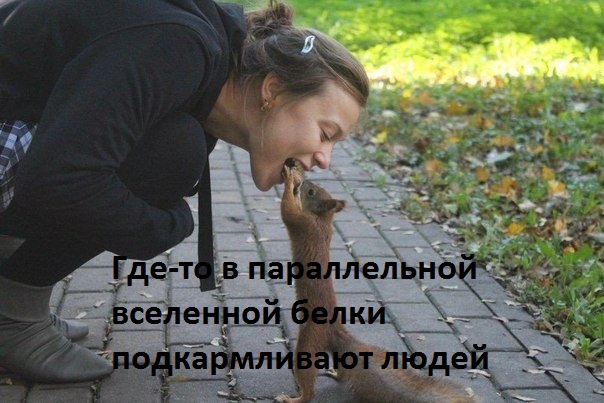   :   