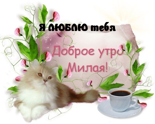   :  , .  