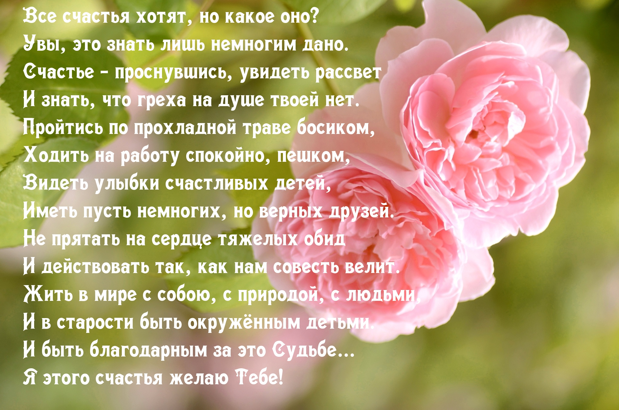 Всей души хотим пожелать счастья. Бледно розовые розы. Нежные розы картинки. Цветы на рабочий стол. Трогательные цветы.
