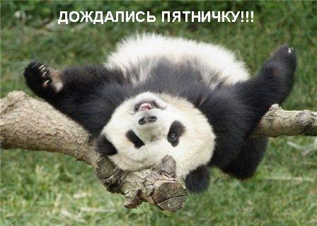 Картинки с надписями Дождались пятничку
