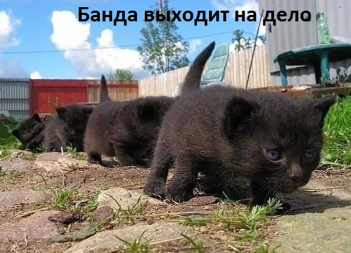   :    
