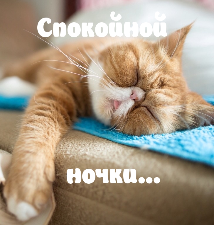   :  