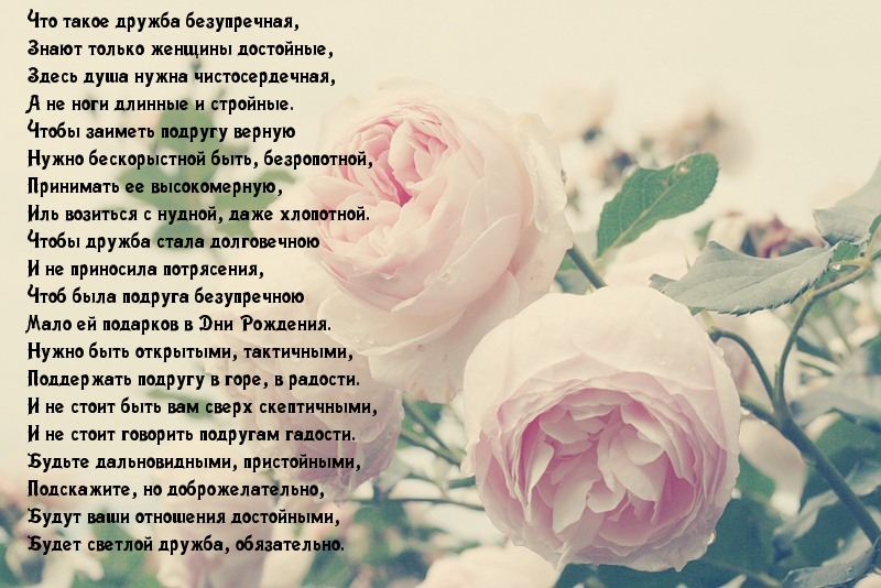 О безупречной женской дружбе