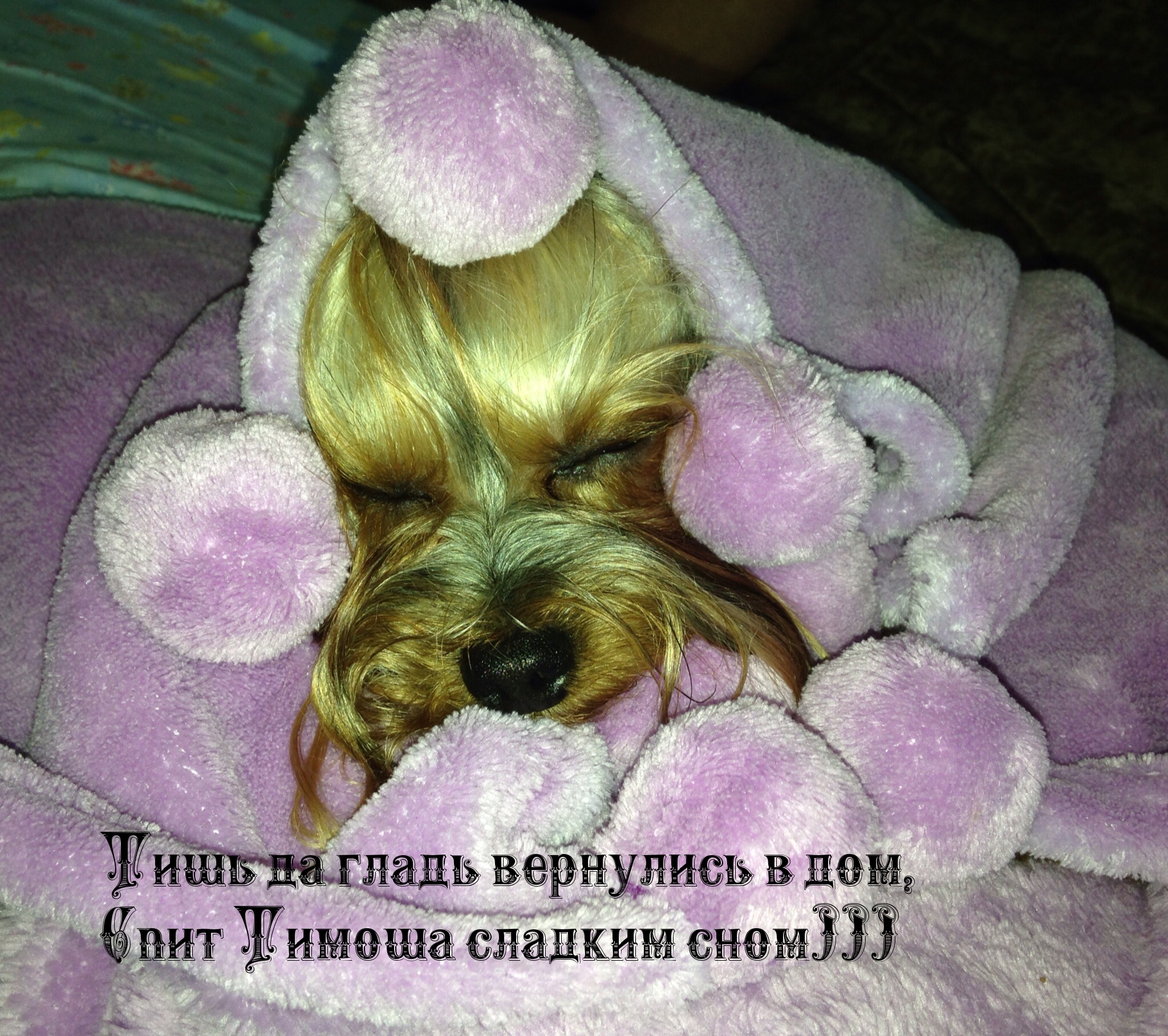 Картинки с надписями Спит Тимоша сладким сном
