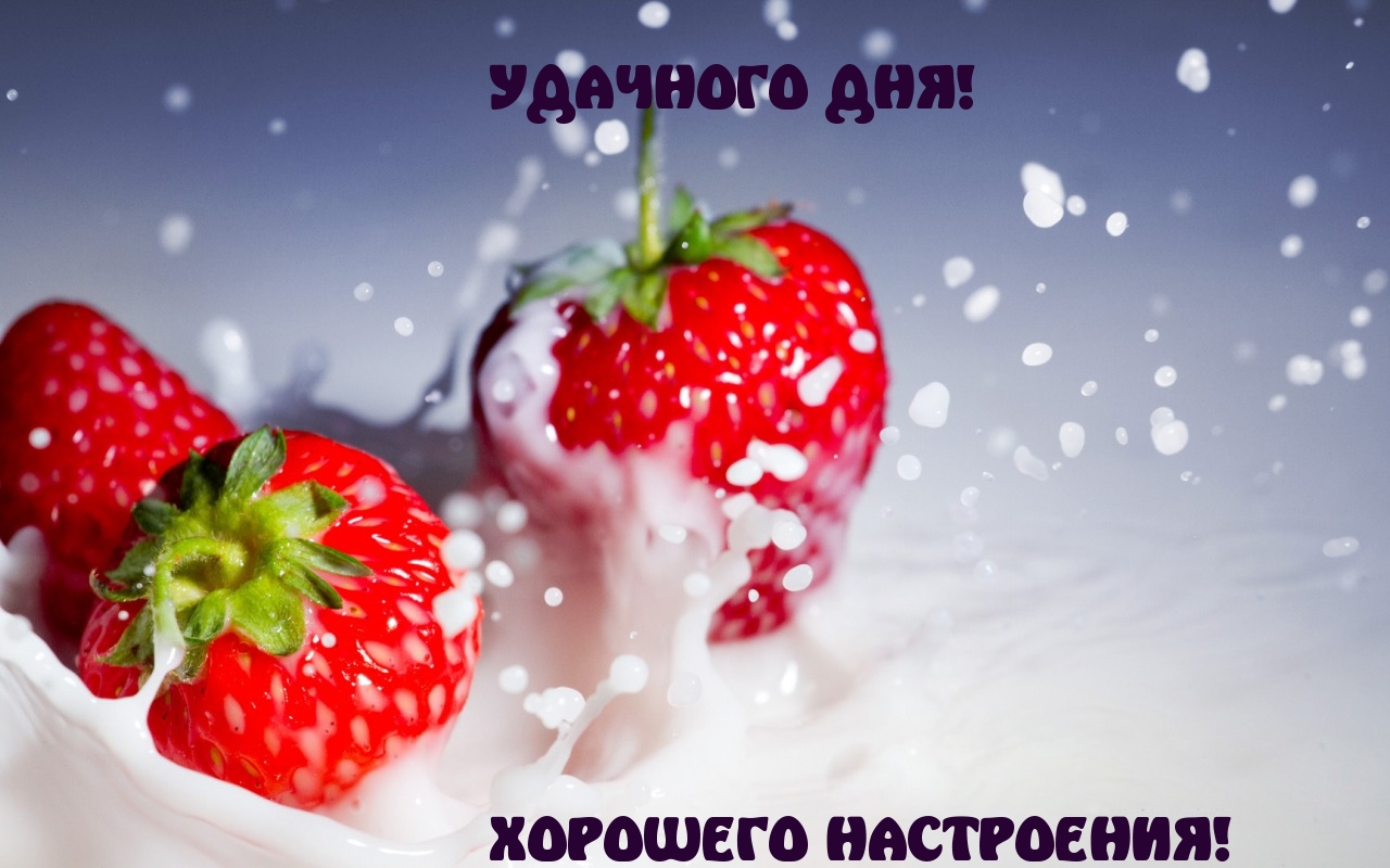 УДАЧНОГО ДНЯ!