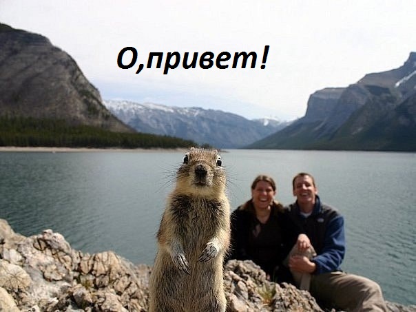   : O, !