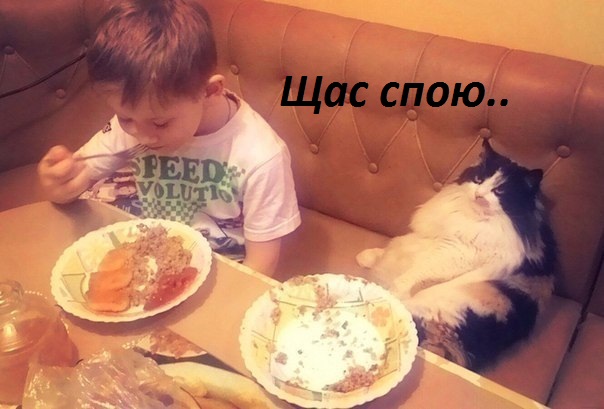Картинки с надписями Щас спою..