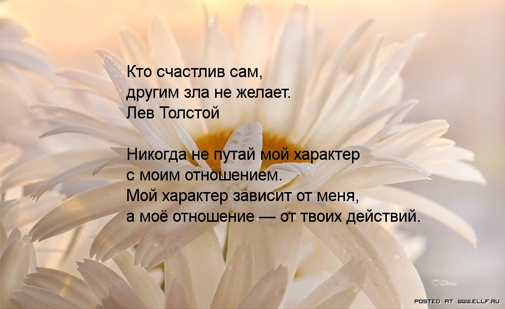Кто счастлив сам другим зла не желает картинки