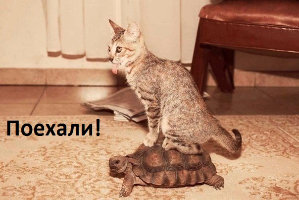 !.