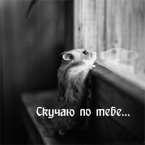   :   ...