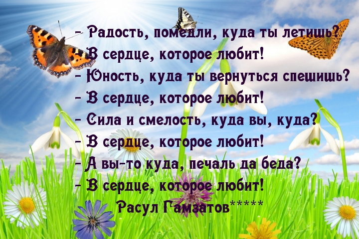 ... ,     .