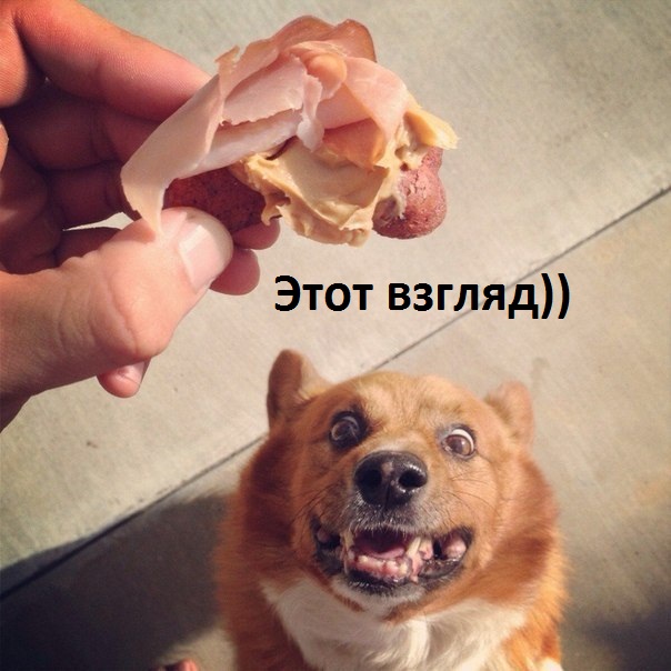 Этот взгляд....