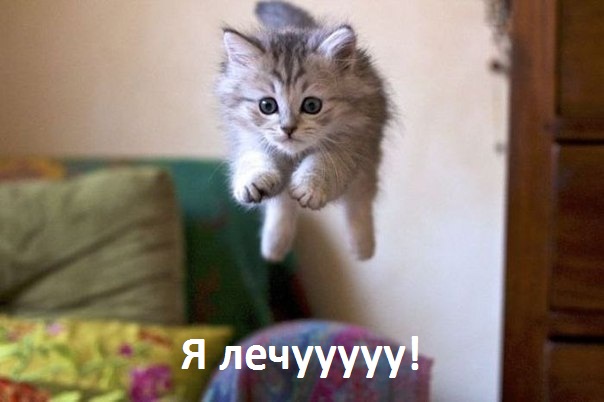  !.